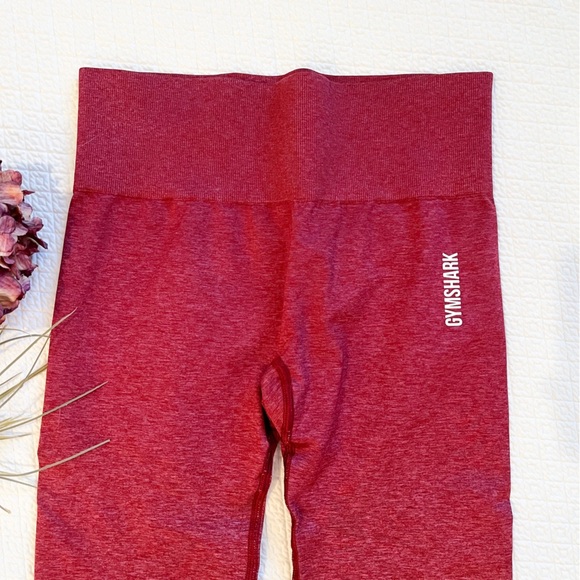 GYMSHARK Adopt Ombré Seamless Long Sleeve Crop Top Size Small - Picture 4 of 7